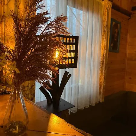 Lodge Bolu'da Dag Evi
