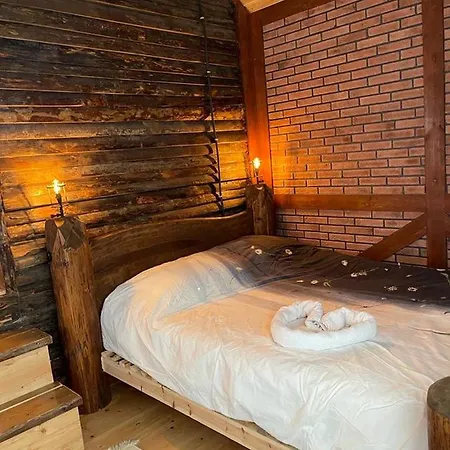 Bolu'da Dag Evi *